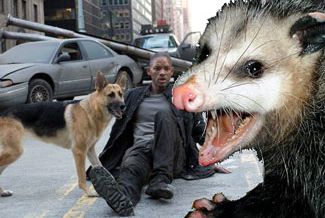Our future? I Am Opossum